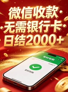微信码代收款--2000单日-金城灰铲项目网